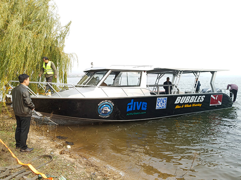 11mダイビングボート